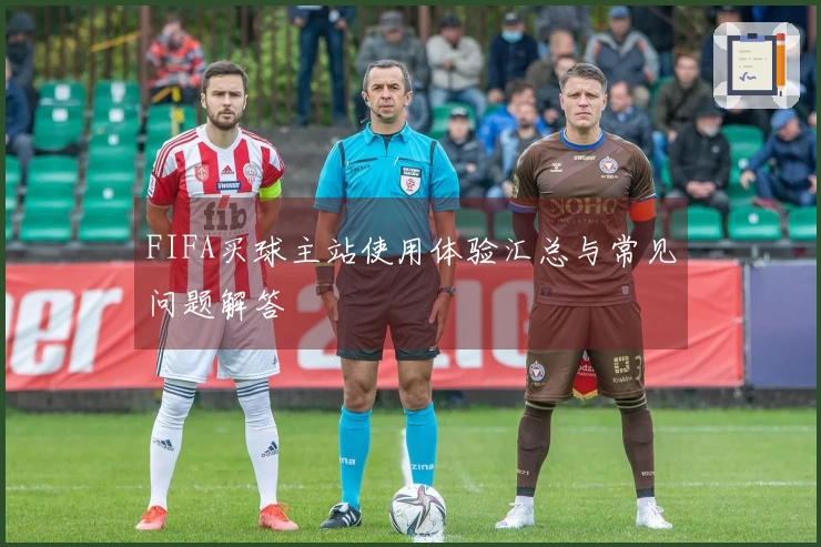 FIFA买球主站使用体验汇总与常见问题解答
