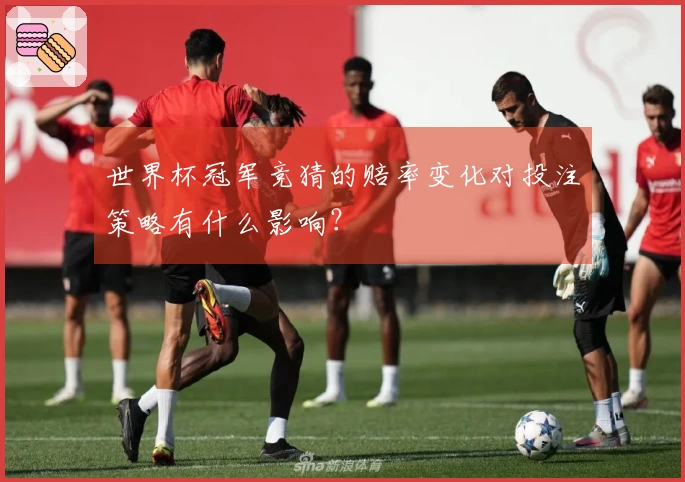 世界杯冠军竞猜的赔率变化对投注策略有什么影响?