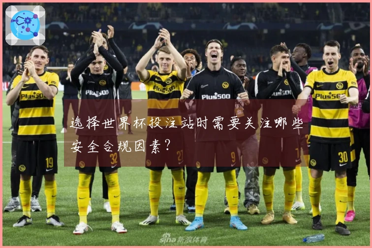 选择世界杯投注站时需要关注哪些安全合规因素？