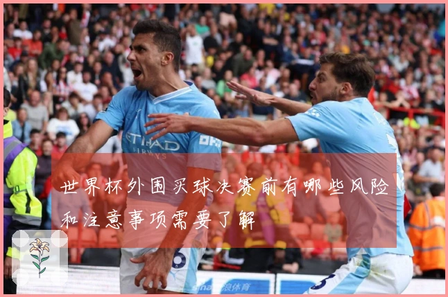 世界杯外围买球决赛前有哪些风险和注意事项需要了解