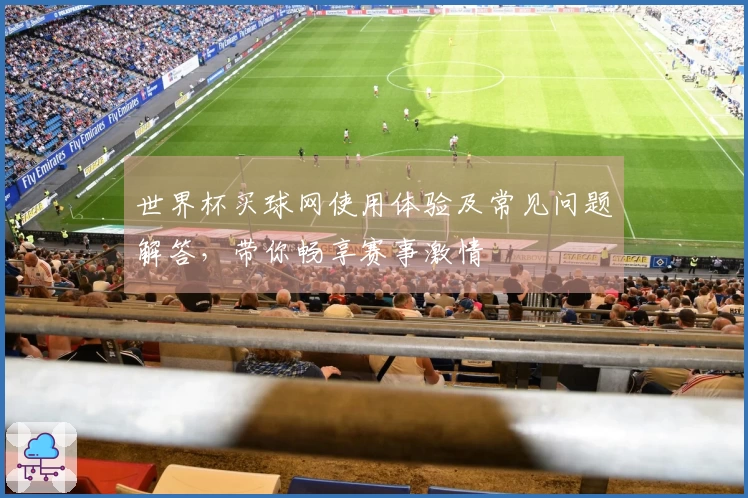 世界杯买球网使用体验及常见问题解答，带你畅享赛事激情