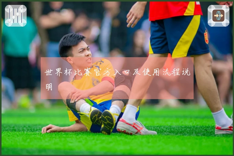 世界杯比赛官方入口及使用流程说明