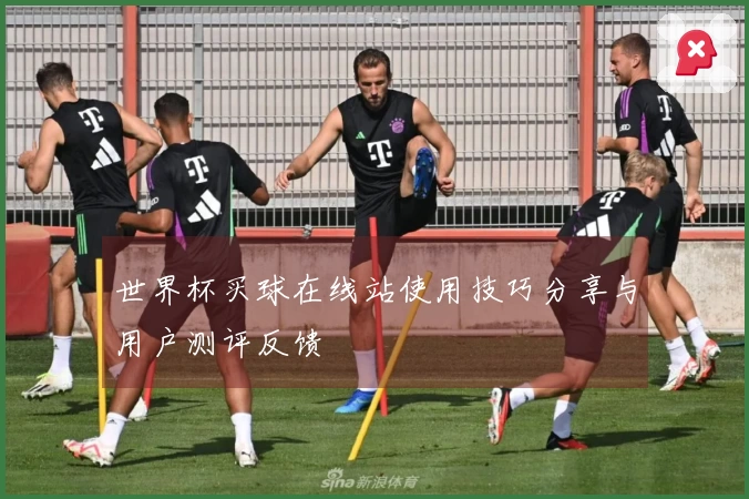 世界杯买球在线站使用技巧分享与用户测评反馈