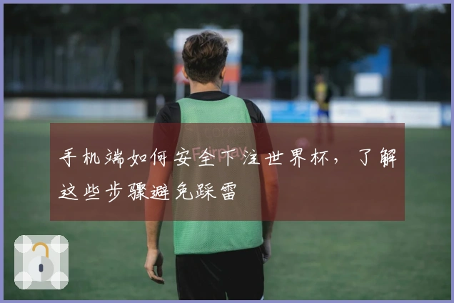 手机端如何安全下注世界杯，了解这些步骤避免踩雷