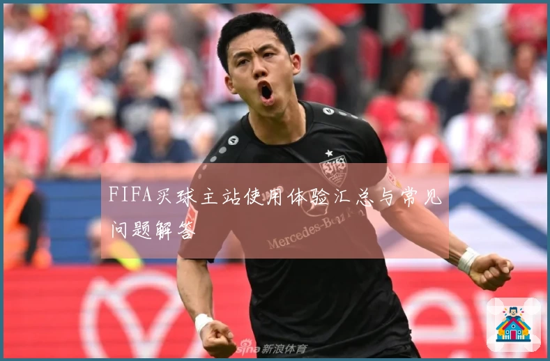 FIFA买球主站使用体验汇总与常见问题解答