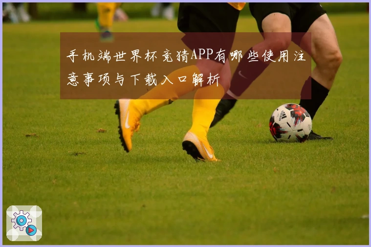 手机端世界杯竞猜APP有哪些使用注意事项与下载入口解析