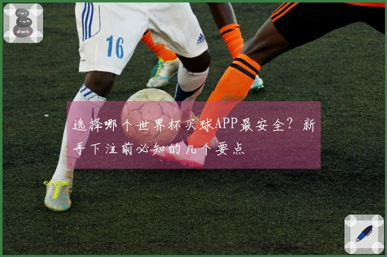 选择哪个世界杯买球APP最安全？新手下注前必知的几个要点