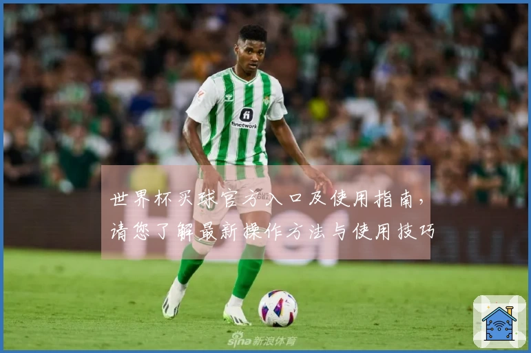 世界杯买球官方入口及使用指南，请您了解最新操作方法与使用技巧