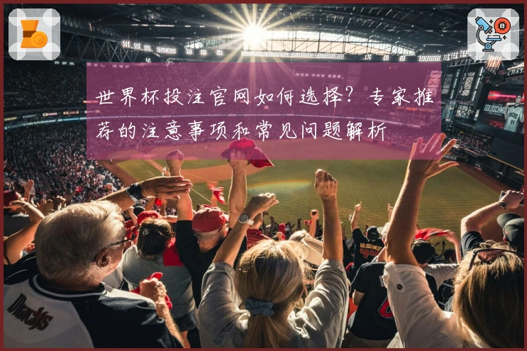 世界杯投注官网如何选择?专家推荐的注意事项和常见问题解析
