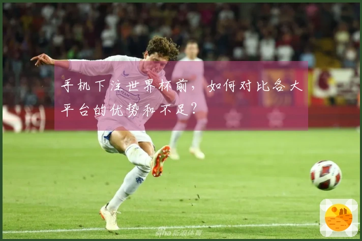 手机下注世界杯前,如何对比各大平台的优势和不足?