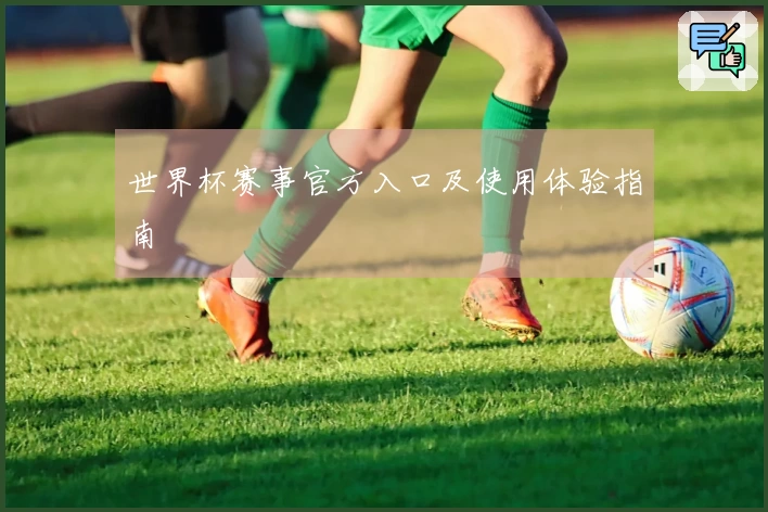 世界杯赛事官方入口及使用体验指南