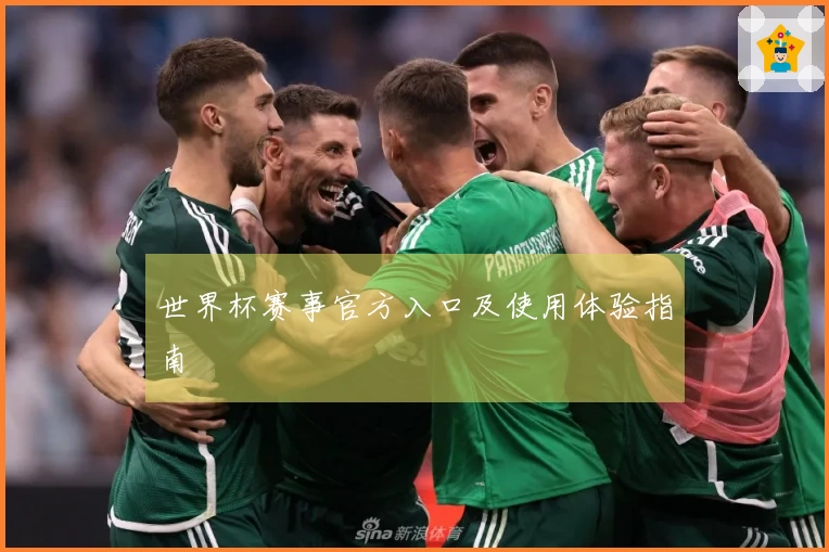 世界杯赛事官方入口及使用体验指南