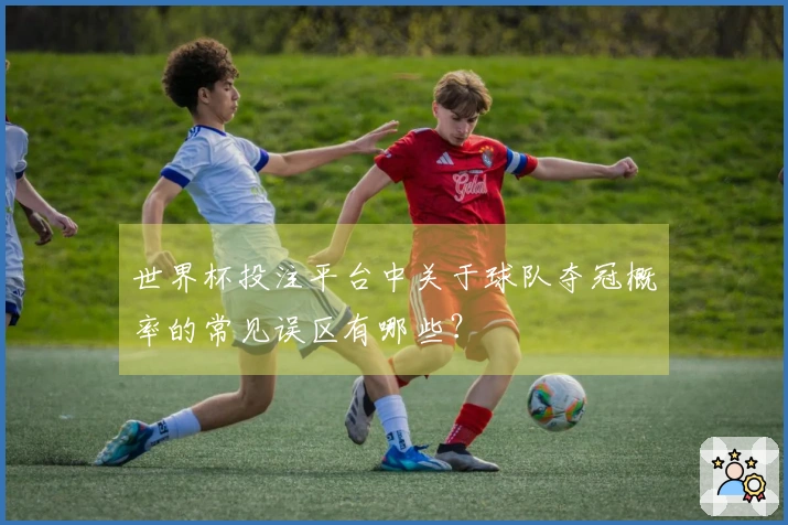 世界杯投注平台中关于球队夺冠概率的常见误区有哪些？