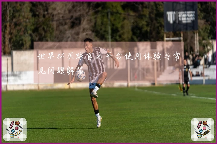 世界杯买球官方平台使用体验与常见问题解答