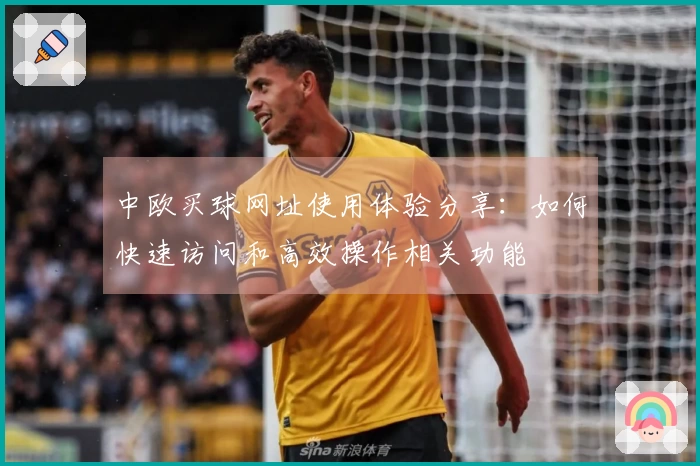 中欧买球网址使用体验分享：如何快速访问和高效操作相关功能